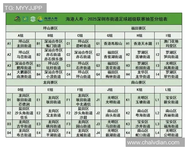 深圳足球队领跑最新足球团队协作排行榜前十名分析与展望