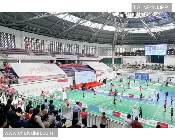 深圳羽毛球队在杯赛中的实力展现与战术分析 深圳羽毛球队在杯赛中的实力展现与战术分析