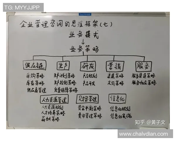 从零起步：全面解析排球团队协作的技巧与策略