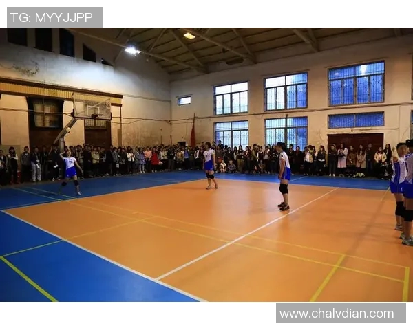 武汉排球队在全国排球比赛经验排行榜中荣获第九名的荣耀之路