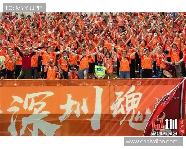 深圳羽毛球队比赛经验引发热议球迷与专家观点碰撞激烈