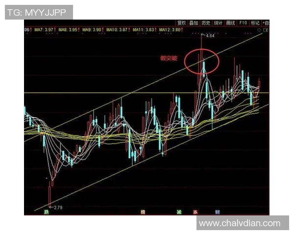 广州羽毛球队在欧锦赛中的辉煌历程与突破之路探秘