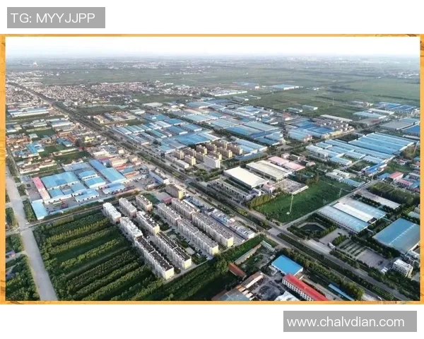 武汉滑板队边路渗透创新之路探索与发展全景分析