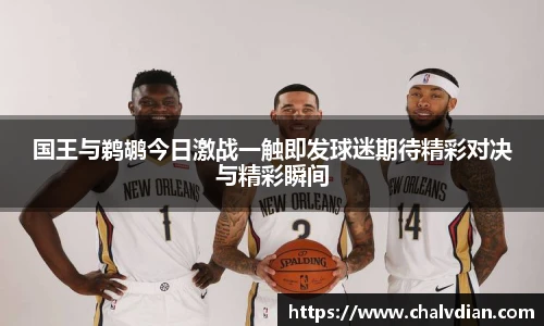 完美体育登录入口