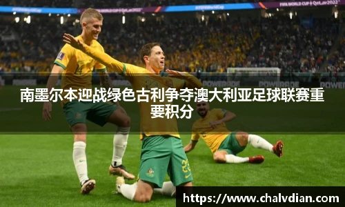 南墨尔本迎战绿色古利争夺澳大利亚足球联赛重要积分