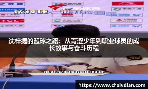 完美体育官网