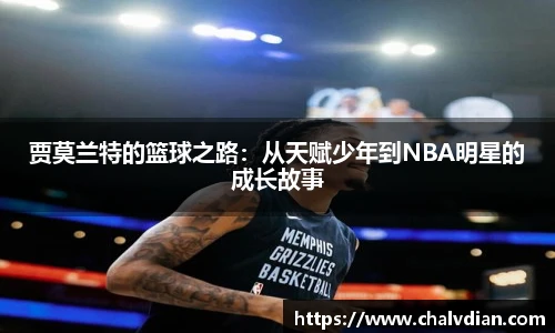 完美体育登录入口