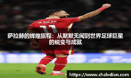 完美体育登录入口