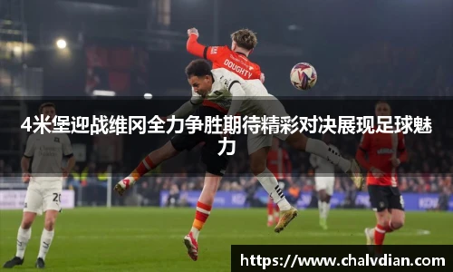 完美体育官网